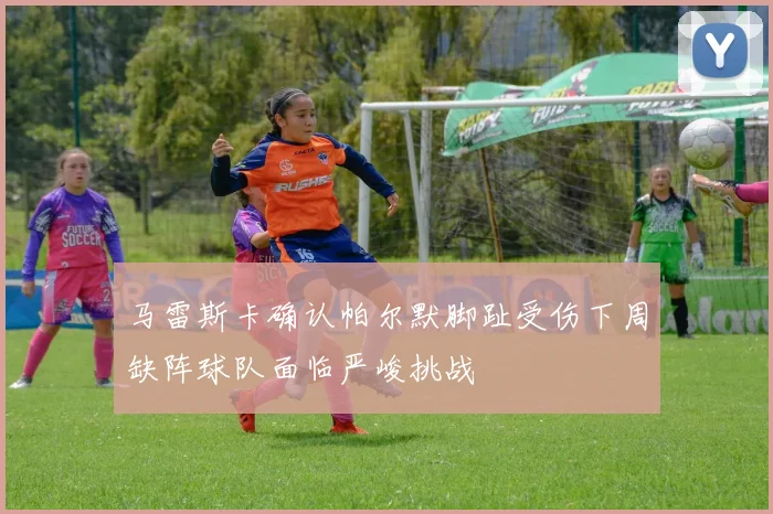 马雷斯卡确认帕尔默脚趾受伤下周缺阵球队面临严峻挑战