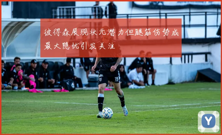 彼得森展现状元潜力但腿筋伤势成最大隐忧引发关注
