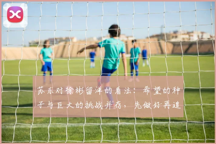 苏东对徐彬留洋的看法：希望的种子与巨大的挑战并存，先做好再追求完美
