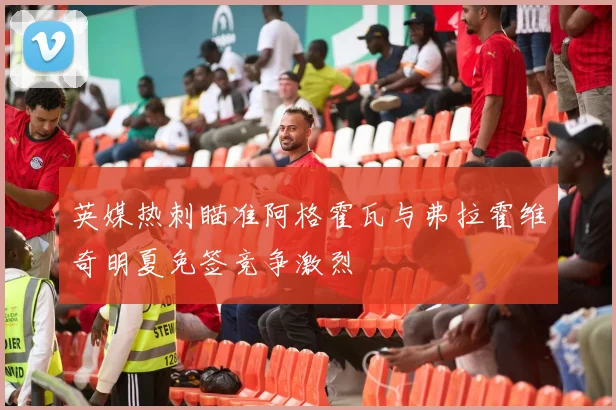 英媒热刺瞄准阿格霍瓦与弗拉霍维奇明夏免签竞争激烈